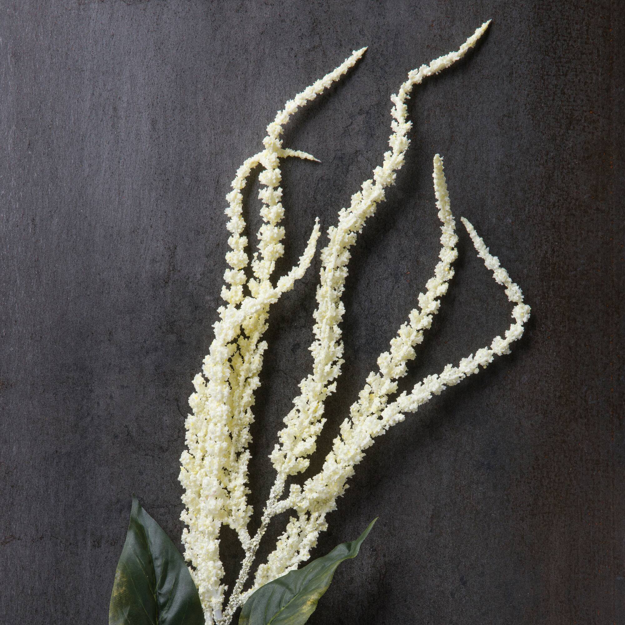 Cream Amaranthus Stem by Ashland®